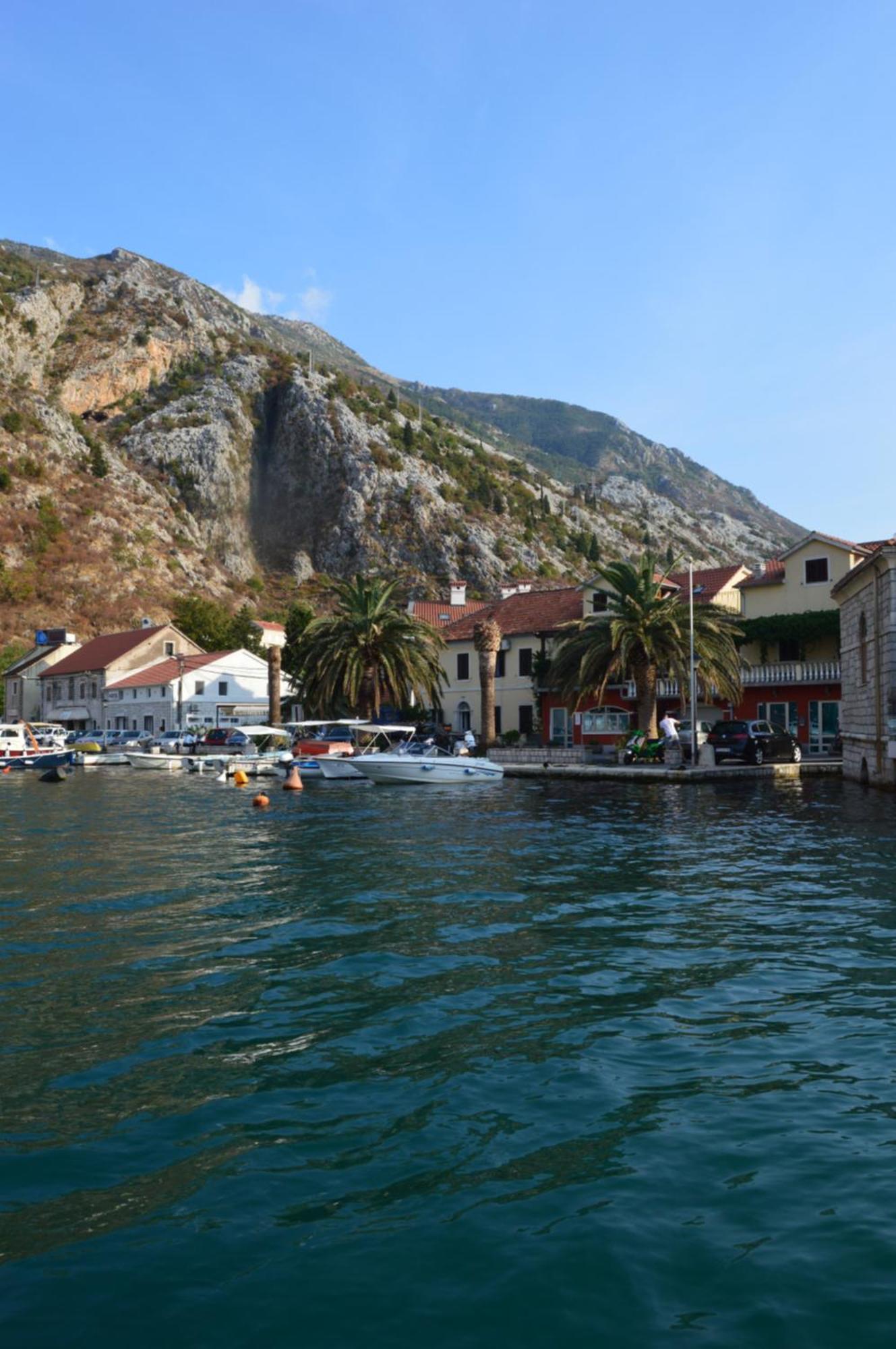 Qualitas * Kotor